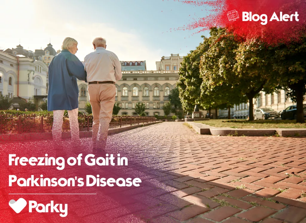 Freezing of gait in parkinsons disease on parky blog